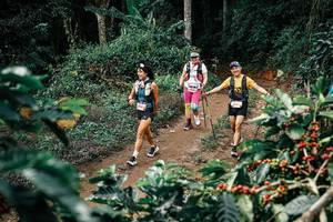 BIB: 
                            <button type="button" onclick="openModal(25857990)" class="btn btn-primary btn-sm float-right btn-popup" data-toggle="modal" data-target=".modal-high-quality">
                        <i class="fas fa-shopping-cart"></i> Add to Cart
                    </button>
                                            <button type="button" onclick="isThisMe(25857990, true)" class="btn btn-success btn-sm float-right btn-popup btn-isme hidden" data-toggle="tooltip" data-placement="bottom" title="นี่คือรูปของคุณใช่ไหม คลิกที่นี่เพื่อเอาเข้าอัลบั้ม">
                        <i class="fas fa-plus"></i> Add to album
                    </button>
                    <button type="button" onclick="isThisMe(25857990, false)" class="btn btn-warning btn-sm float-right btn-popup btn-isnotme hidden">
                        <i class="fas fa-ban"></i> Remove from album
                    </button>